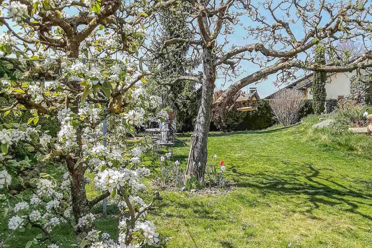 Ferienwohnung Am Hasenweg Ruhstorf an der Rott ภายนอก รูปภาพ